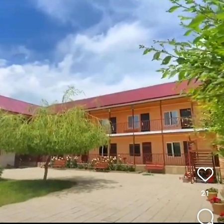 Altynai Guest House Çolpan Ata Dış mekan fotoğraf