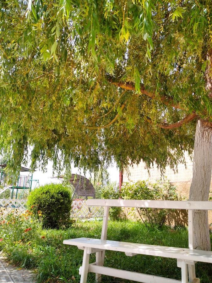 Altynai Guest House Çolpan Ata Dış mekan fotoğraf